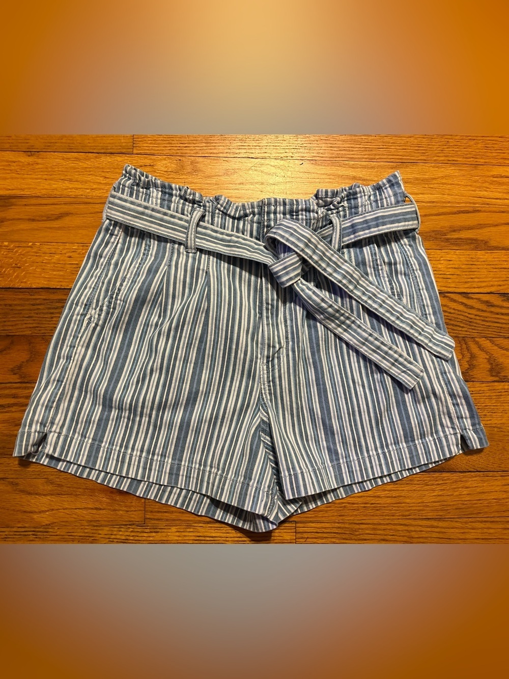 American Eagle Outfitters Blue and White Striped Paperbag Waist Shorts with Tie